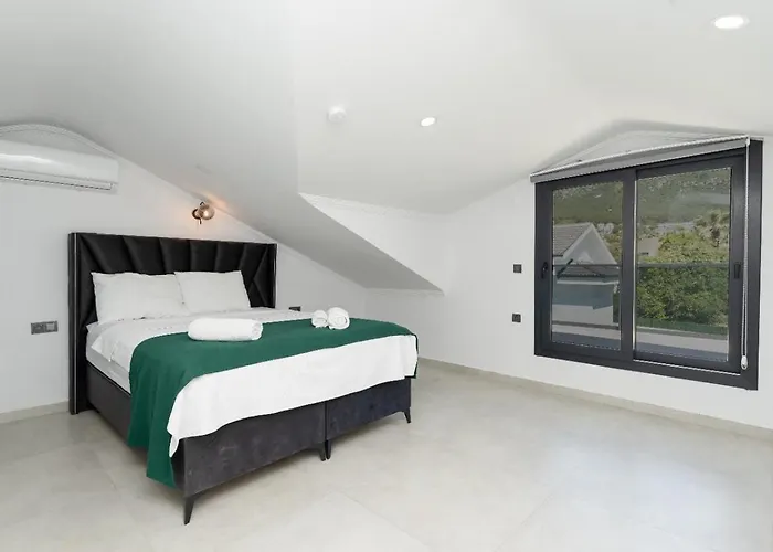 Tahancı Villa *